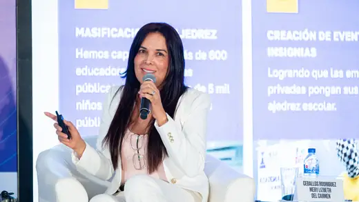 A panellist presenting during the third panel